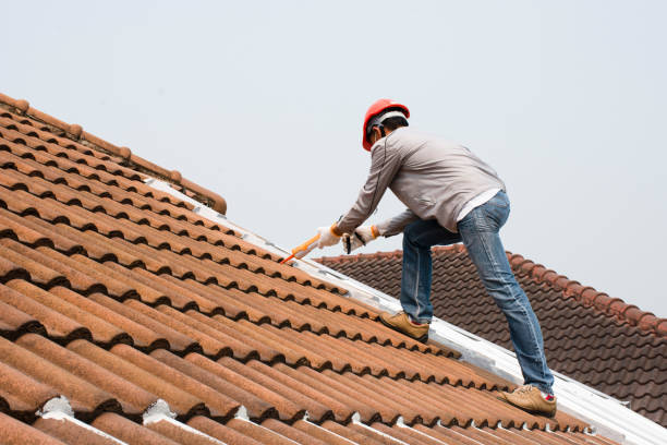 Best Solar Panel Roofing Installation  in Ele, AR